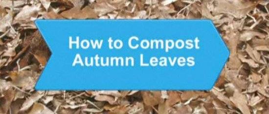 compost1550x234.jpg