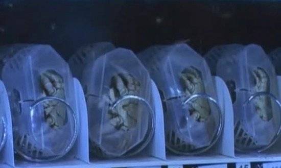 crabvendingmachine550x329.jpg