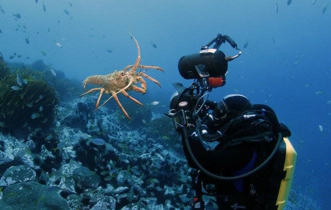 desventuradaschileoceana005660x550.jpg