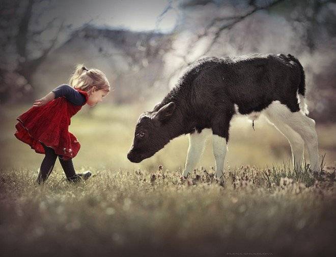 elenashumilovachildrenanimalsphotography5660x550.jpg