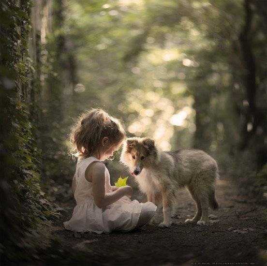 elenashumilovachildrenanimalsphotography8660x550.jpg