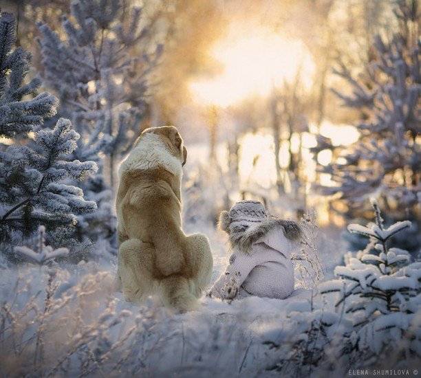 elenashumilovachildrenanimalsphotography9660x550.jpg