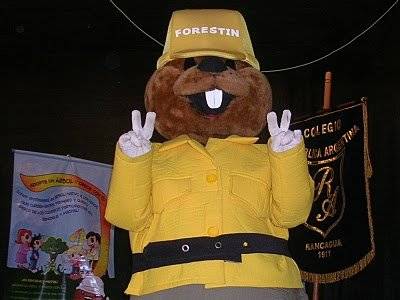 forestin.jpg