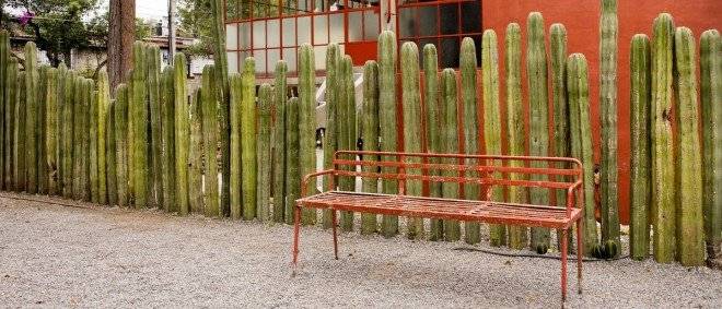 fridaslider21200x515660x550.jpg