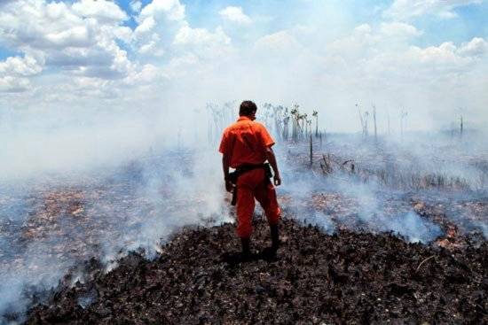 incendioenlaamazonia550x367.jpg