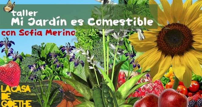 jardincomestible2.jpg