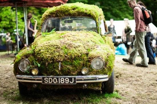 moss550x365.jpg