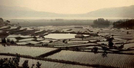okinawasoba550x278.jpg