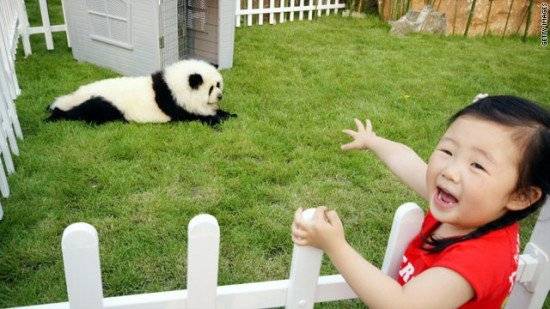 pandadog1550x309.jpg