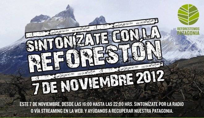 patagonialineup02660x383.jpg