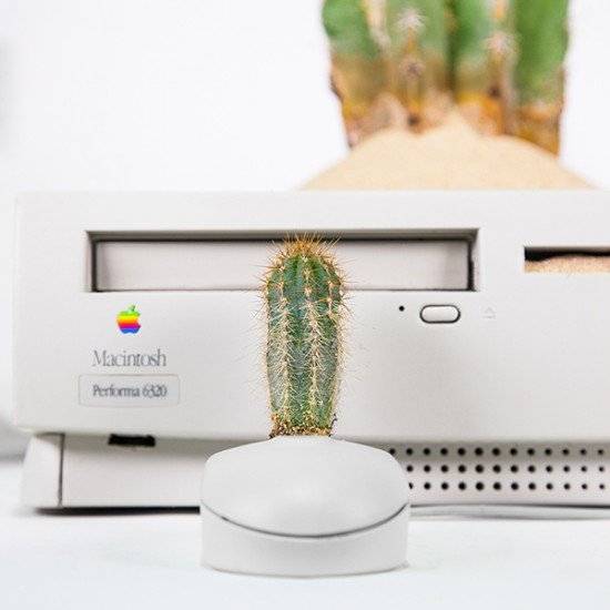 plantyoumacmacustusmonsieurplant20161instagram660x550.jpg