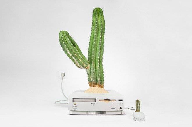 plantyoumacmacustusmonsieurplant201621660x550.jpg