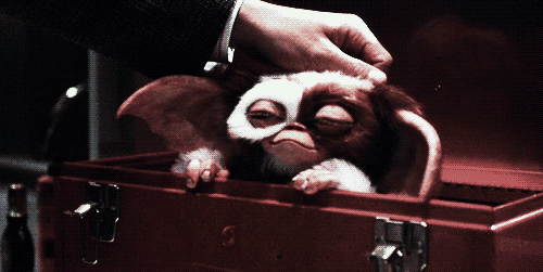 q02zirkrxt3bo.gif