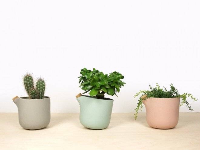 selfwatering1660x550.jpg