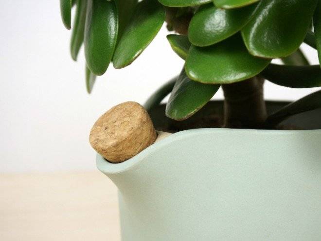 selfwatering2660x550.jpg