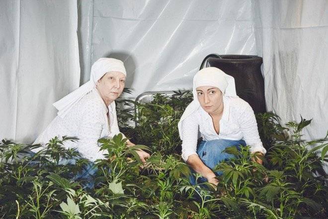 sistersofthevalleyhermanasdelvallemarihuanaweed660x550.jpg