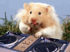 ta64zgfgtlac0.gif