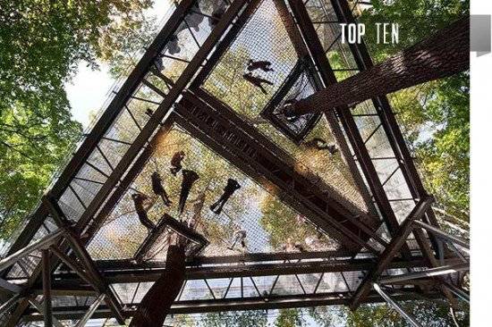 treehousesintro550x366.jpg