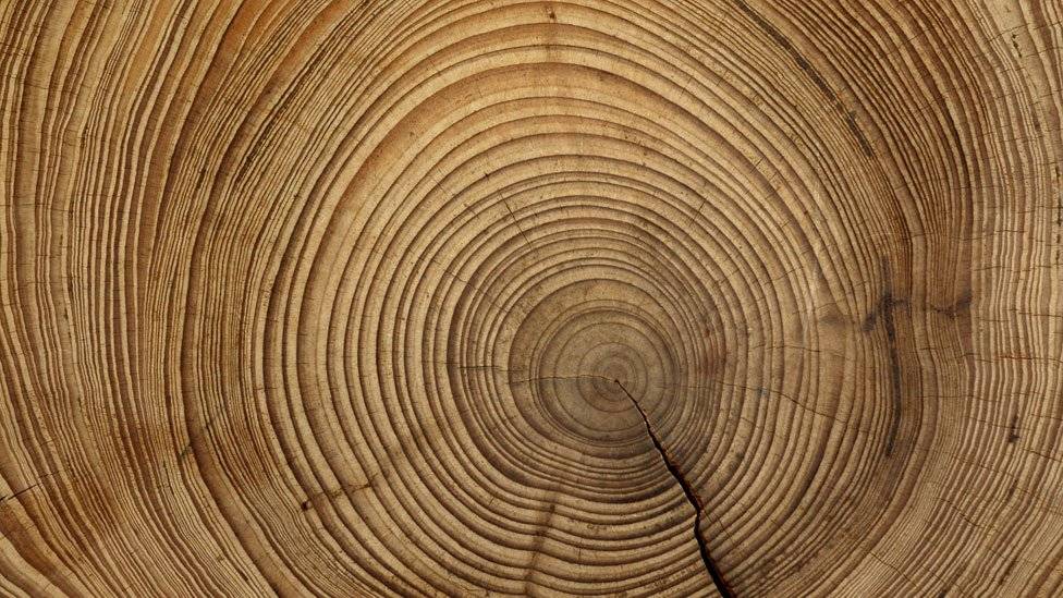 100043138supermadera5-0a7ab7b1073a95c11bbb152cced3cad0.jpg