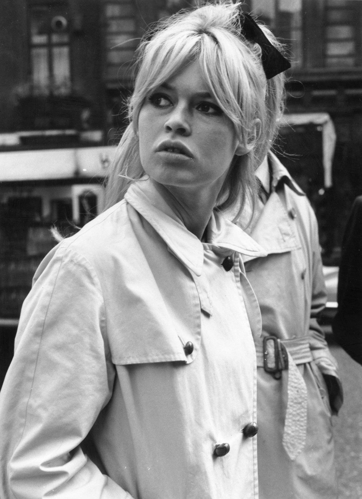Bardot