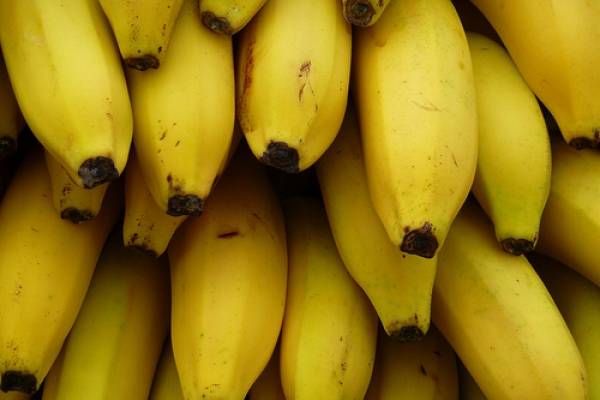 Propiedades del platano maduro pdf
