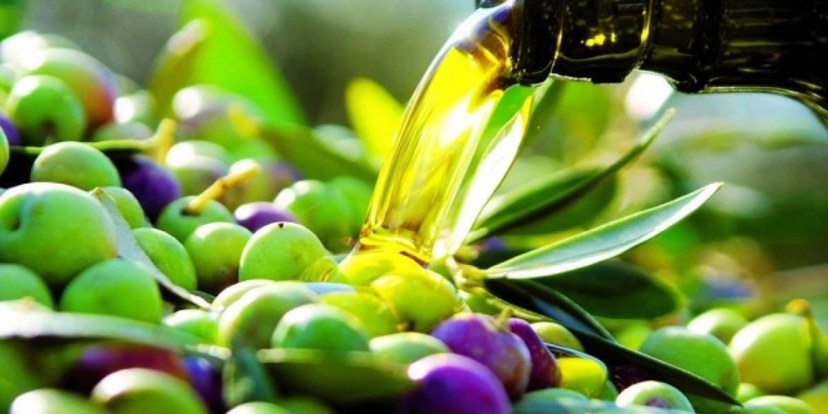 Conoce algunos beneficios del aceite de oliva VeoVerde Nueva Mujer