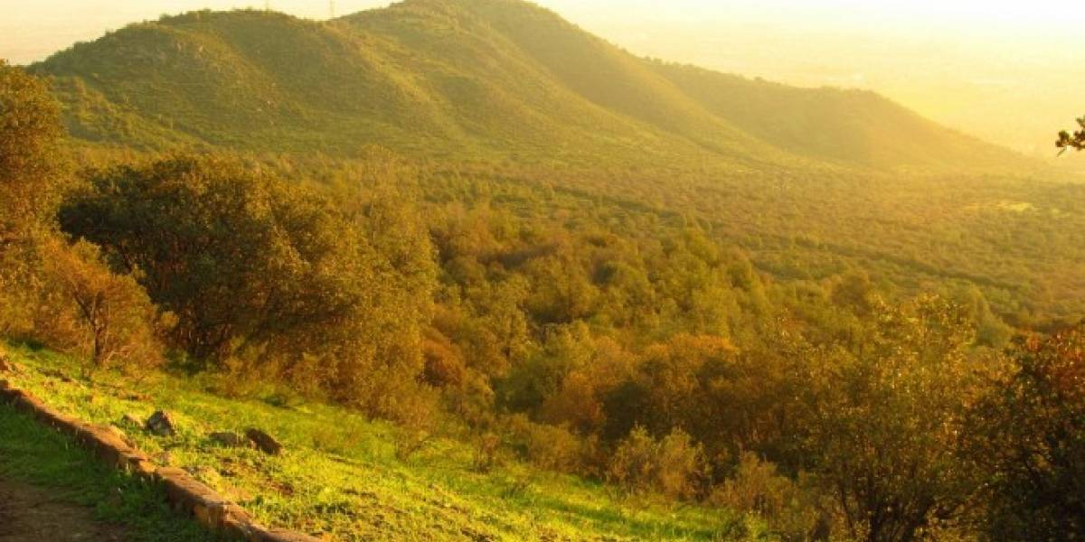 Marcha para proteger el último bosque nativo de Santiago el 16 de