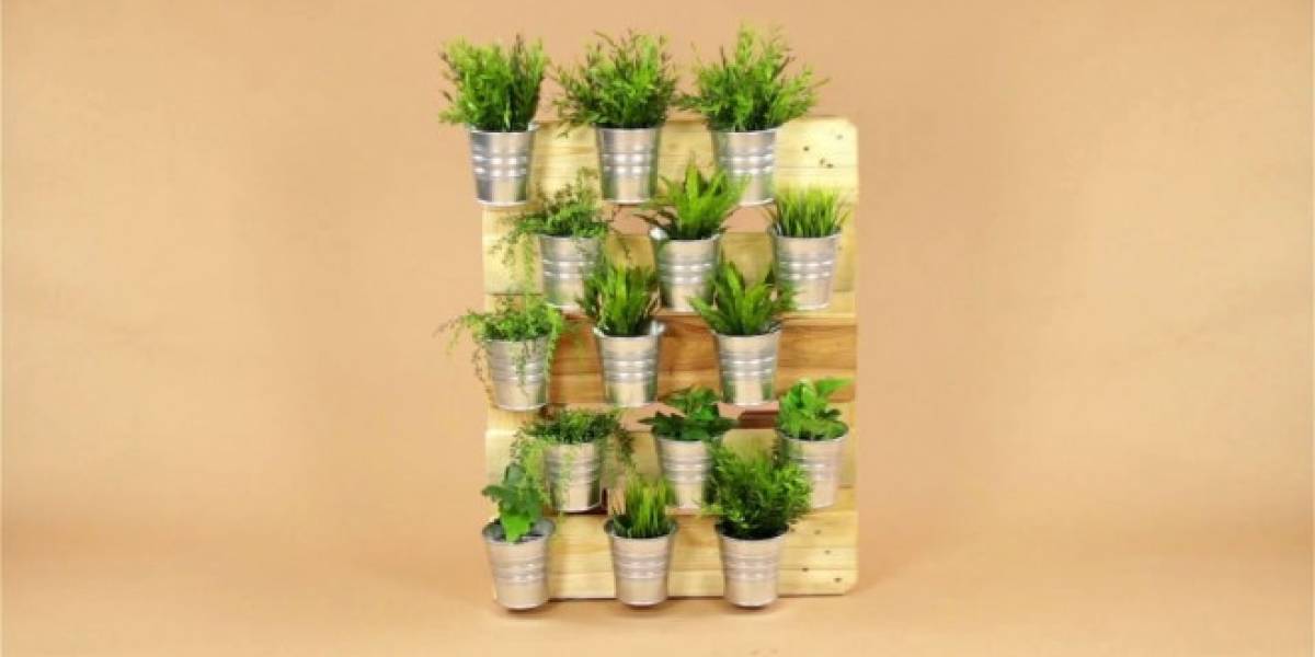 Haz un jardín de pared sin tantas complicaciones - VeoVerde | Nueva Mujer