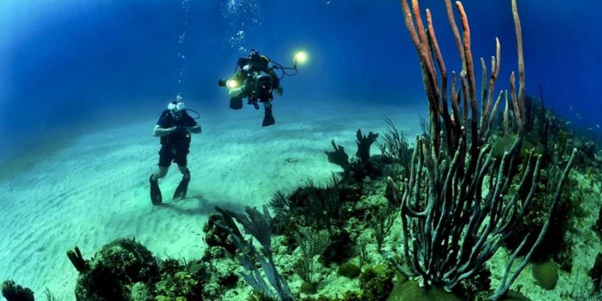 Proyecto invita a los aficionados del buceo a participar en interesantes investigaciones científicas