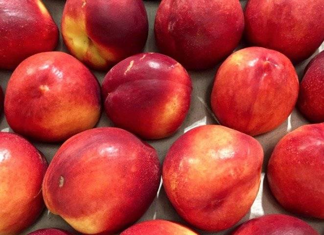 Nectarines chilenos