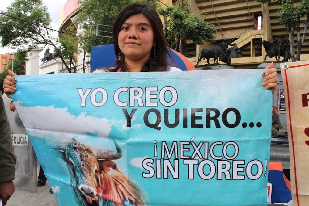 Protesta en la Plaza de Toros