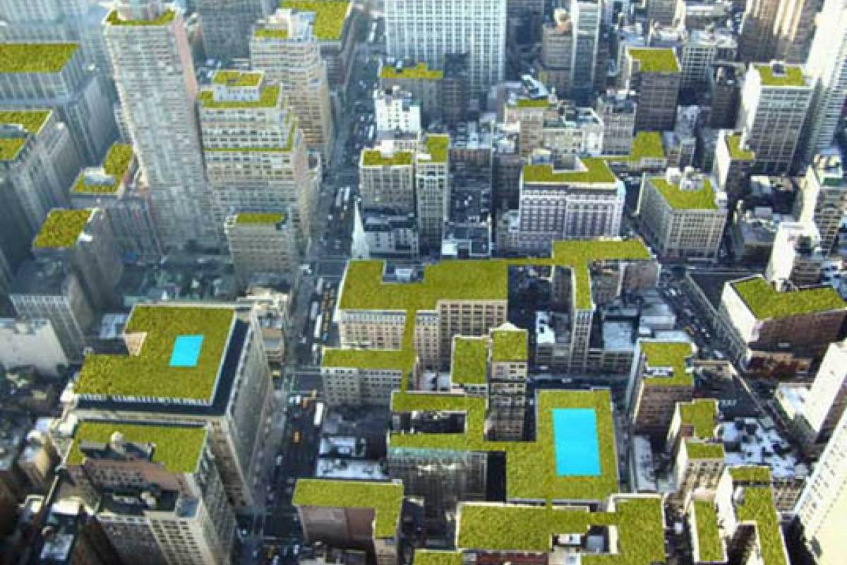 Techos verdes en Nueva York VeoVerde Nueva Mujer