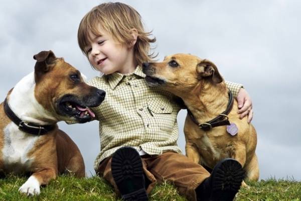 Ninos perros asmaticos para