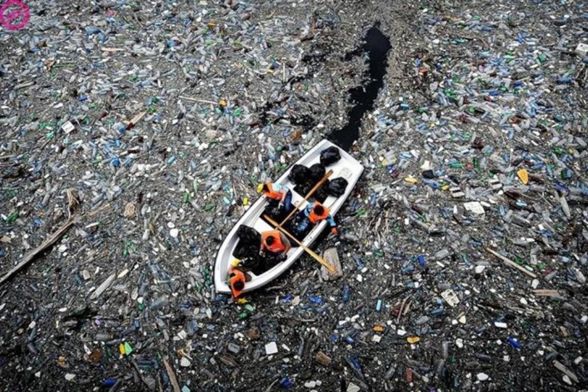 La basura oceánica podría matar más animales que el cambio climático