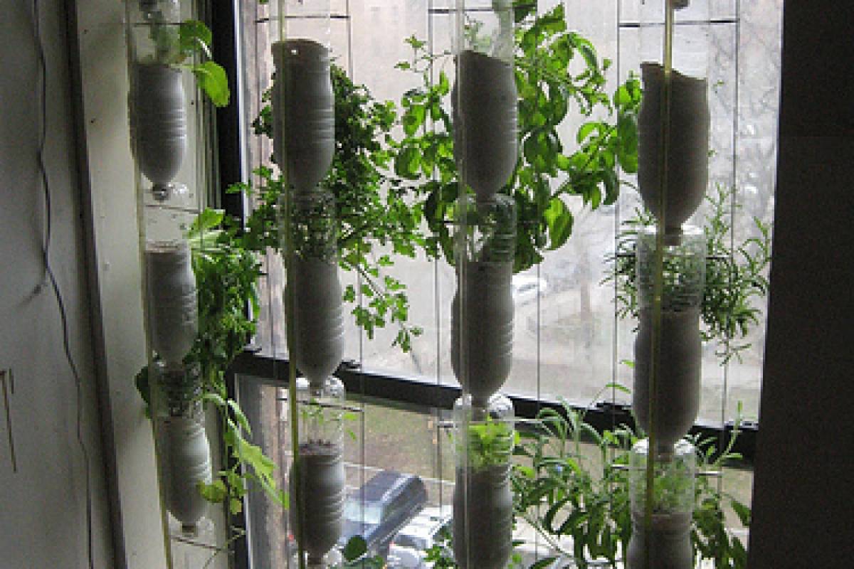Window Farms: Huertos hidropónicos en la ventana de tu casa - VeoVerde