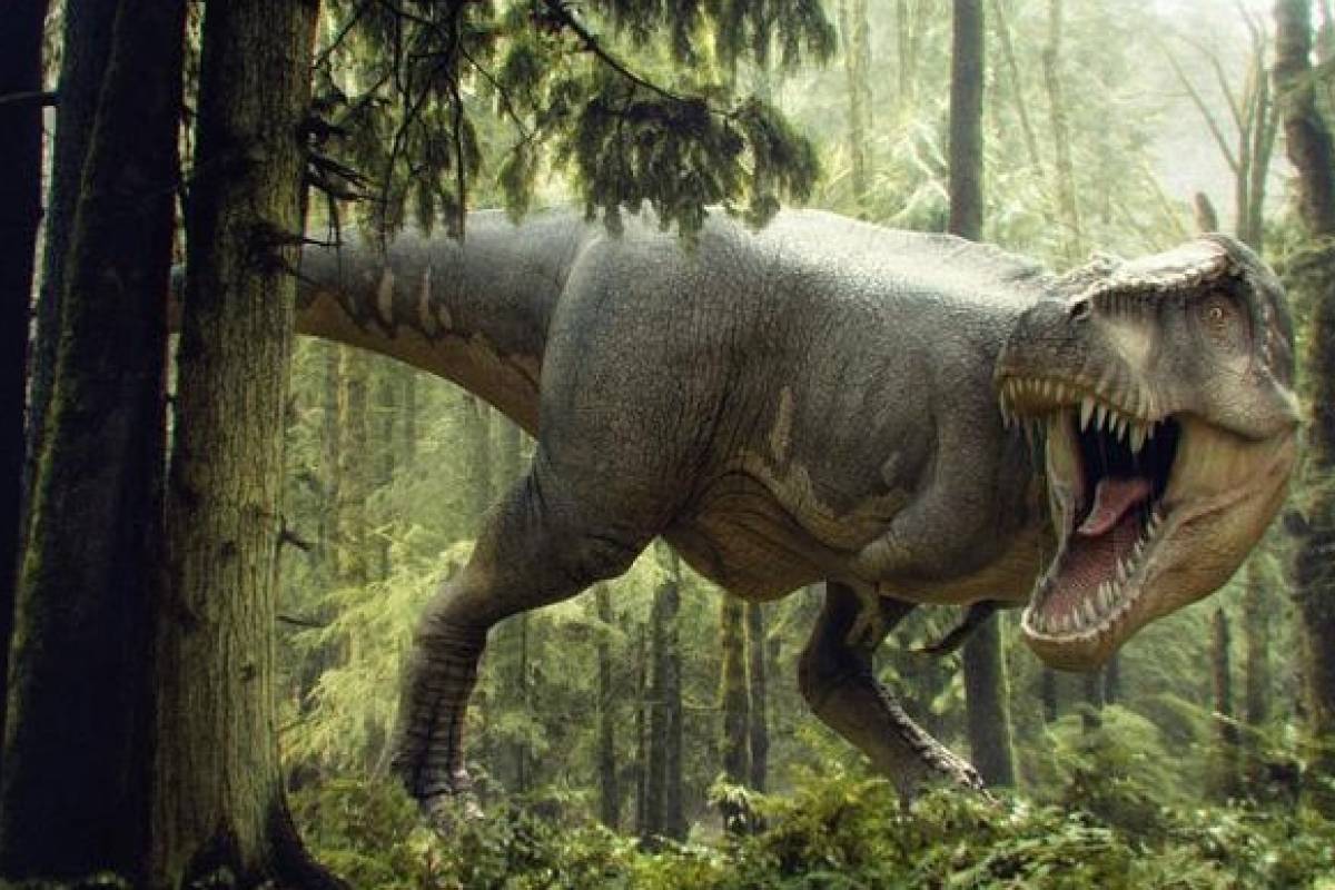 Científicos o artistas: ¿Quienes hacen los dibujos de los dinosaurios