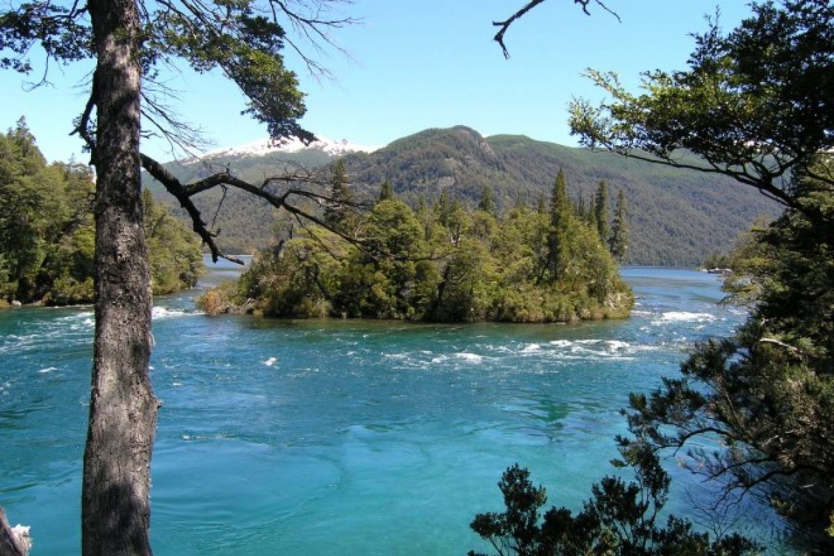 Excelente noticia El bosque valdiviano en Chile se convierte en Parque Nacional VeoVerde