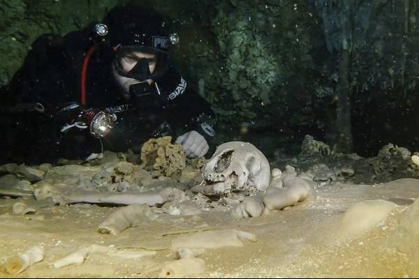 El sistema de cavernas Sac Actun, cuyo mapa se realizó en fecha reciente, “es probablemente el sitio arqueológico inundado más importante en el mundo” pero está amenazado por la contaminación,