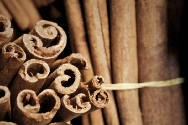Efectos de la canela en el organismo