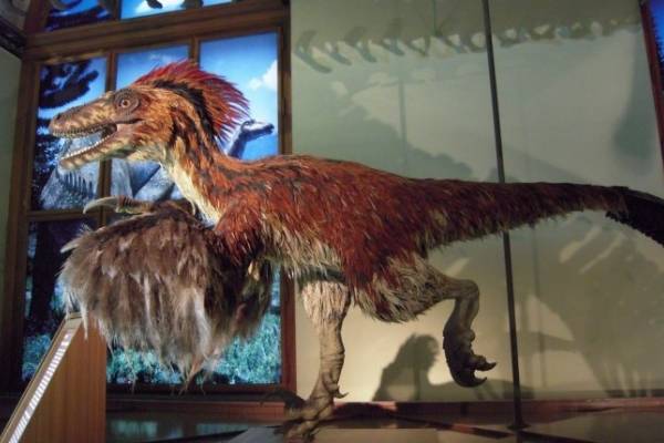 Resultado de imagen para dinosaurios con plumas en mexico