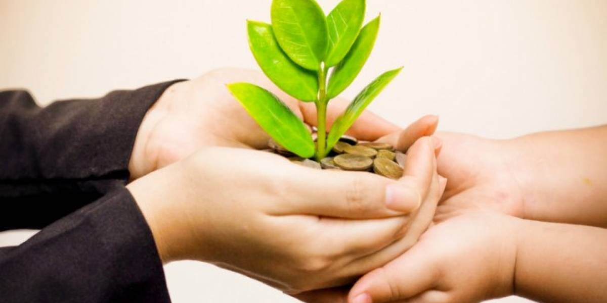 Economía Ecológica Trabajos Tecnico En Sistemas