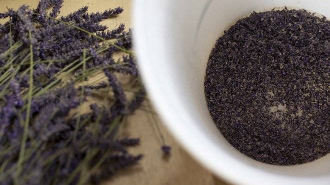 Lavanda