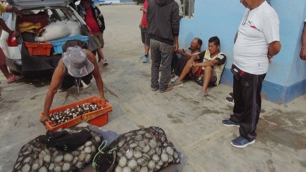 100094094pescadores-4bf061931d410d5ce1b807f0fe4028cc.jpg