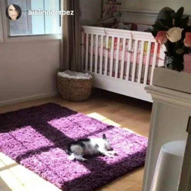 Cuarto hija de Aislinn Derbez