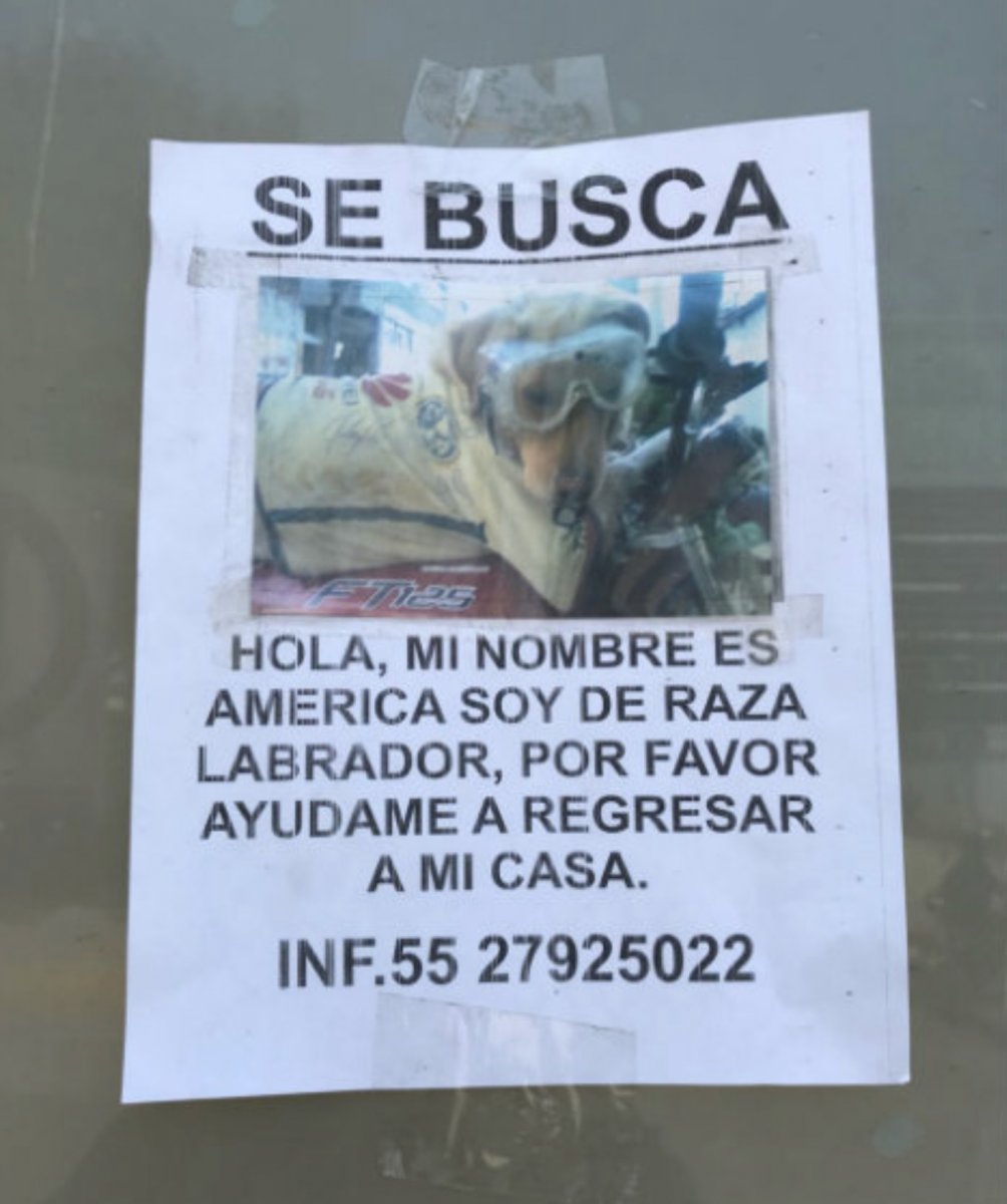 Se busca América