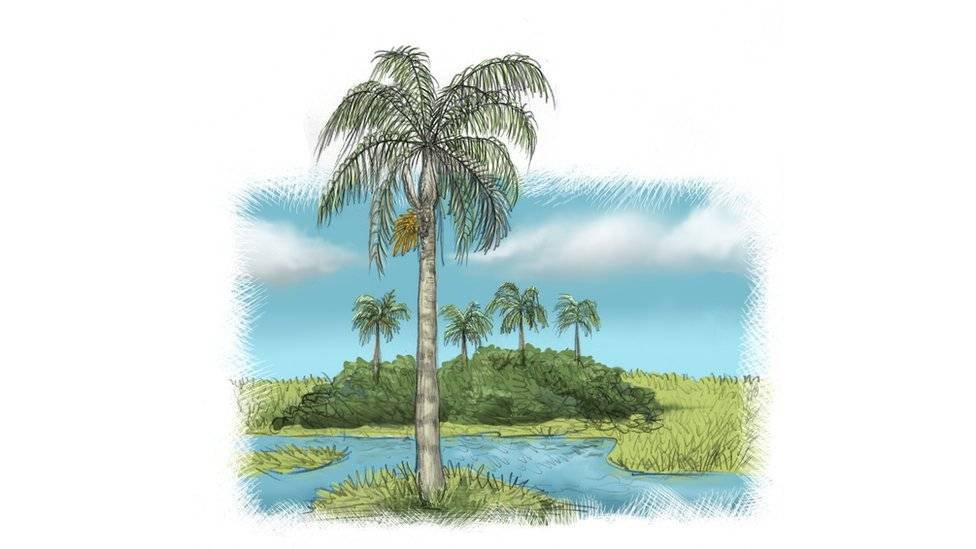 100163299jeriva-aa1f829bc2c0a190279dd8c3751eb885.jpg