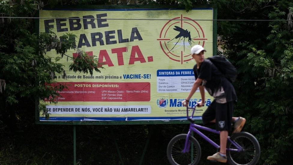 febre amarela