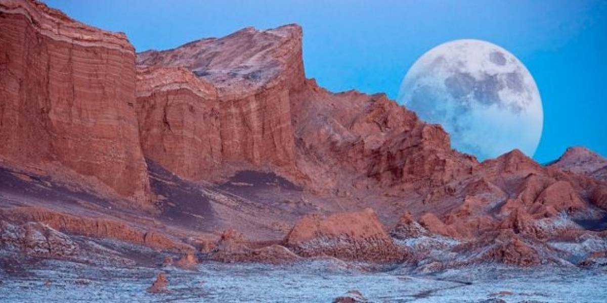 Microbios del desierto de Atacama entregan pistas sobre vida en Marte