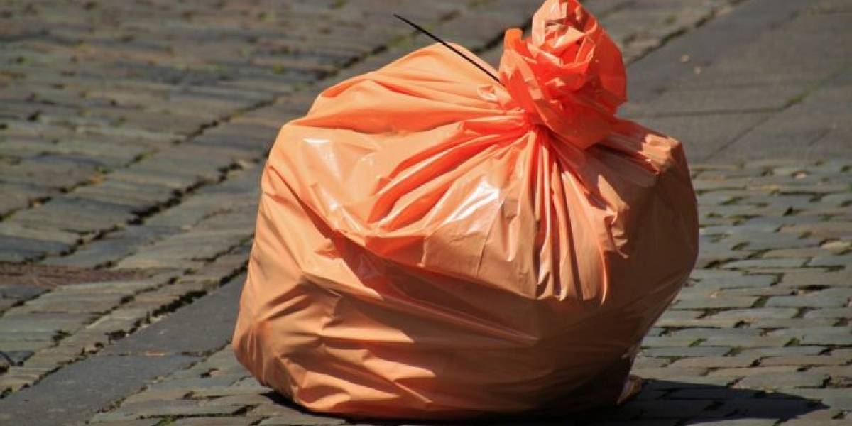 Mexicana crea un nuevo tipo de plástico a través del nopal