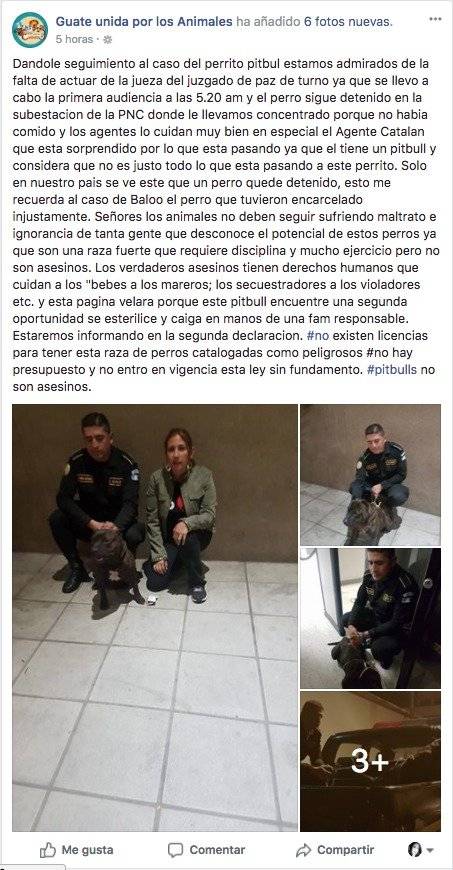 Pitbull en comisaría